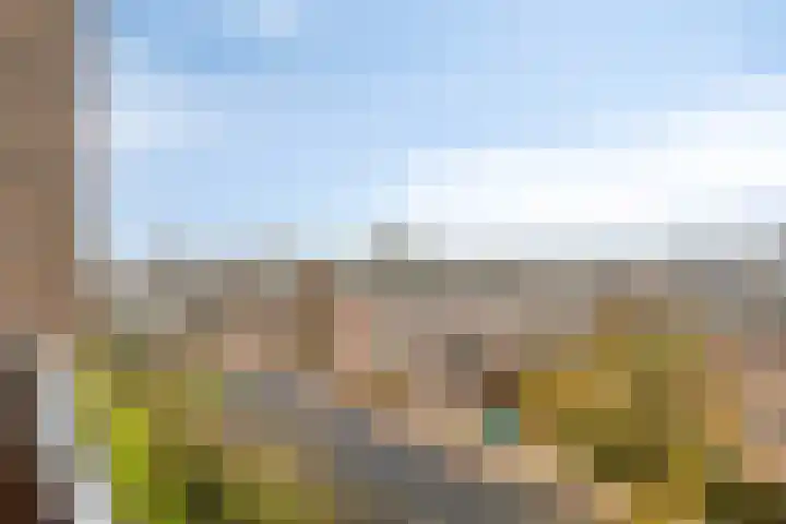 Valckeslotlaan 23 Goes thumbnail 22