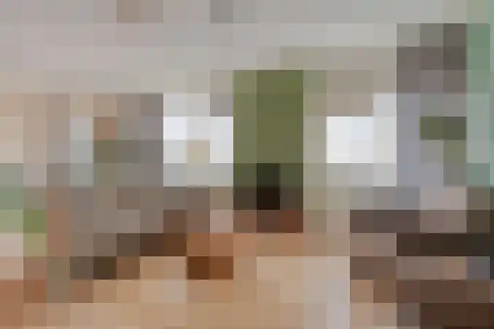 Valckeslotlaan 23 Goes thumbnail 4
