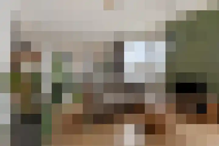 Valckeslotlaan 23 Goes thumbnail 9