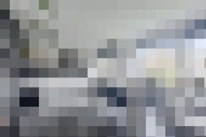 Valckeslotlaan 33 Goes thumbnail 10