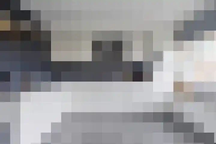 Valckeslotlaan 33 Goes thumbnail 12