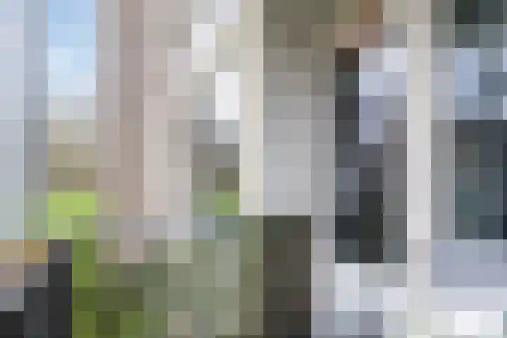 Valckeslotlaan 33 Goes thumbnail 15