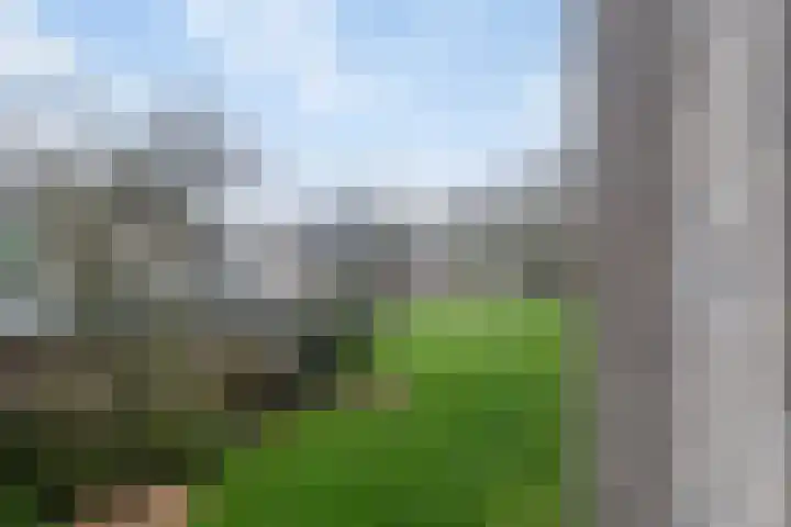 Valckeslotlaan 33 Goes thumbnail 16
