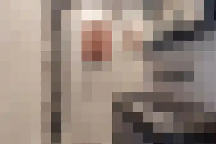 Valckeslotlaan 33 Goes thumbnail 20
