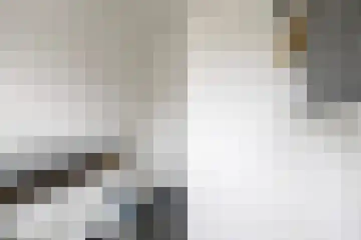 Valckeslotlaan 33 Goes thumbnail 25