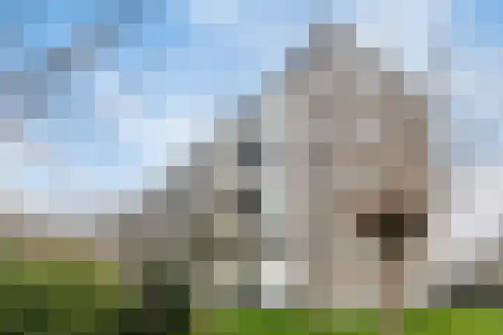 Valckeslotlaan 33 Goes thumbnail 32