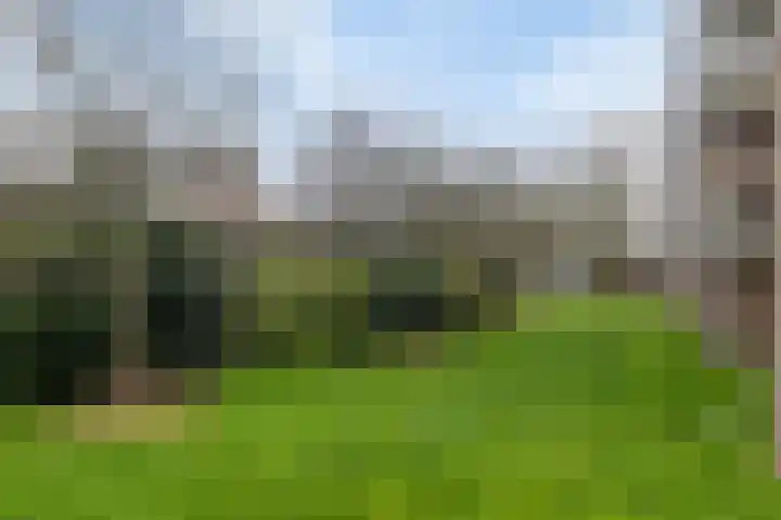 Valckeslotlaan 33 Goes thumbnail 33