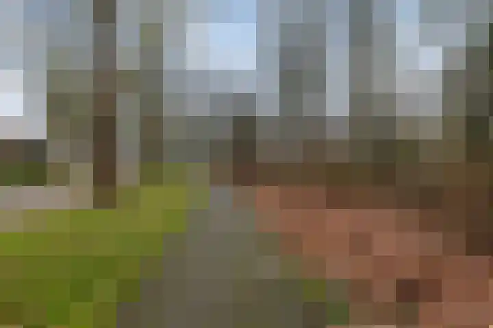 Valckeslotlaan 33 Goes thumbnail 37