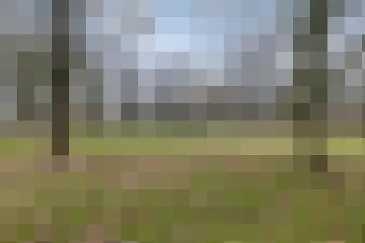 Valckeslotlaan 33 Goes thumbnail 38