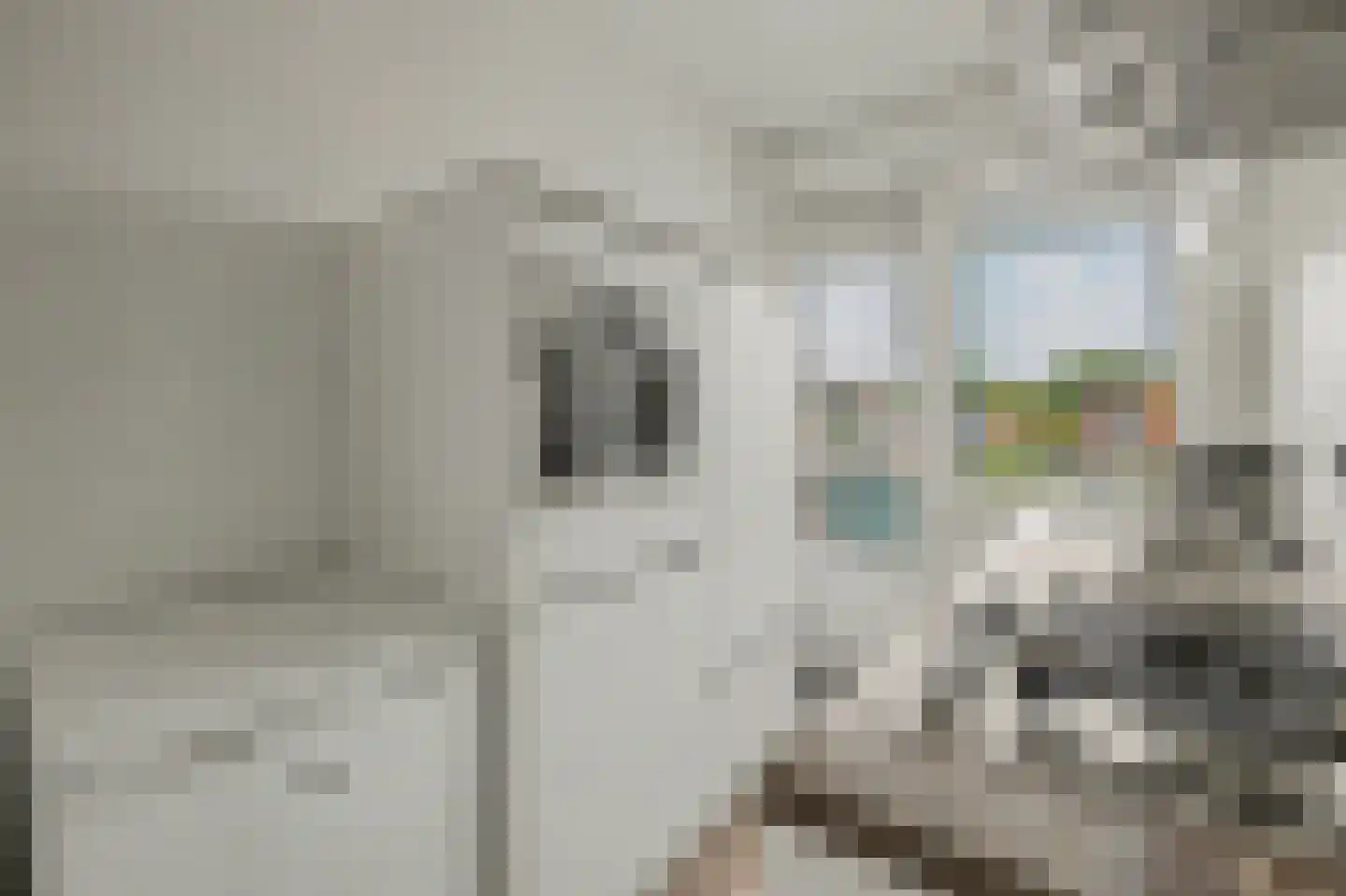 Valckeslotlaan 67 Goes thumbnail 16