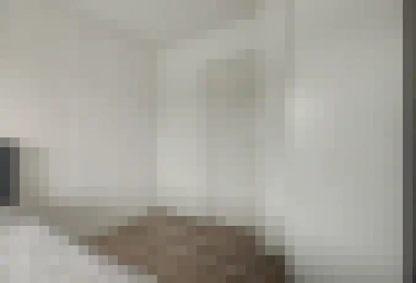 Valckeslotlaan 67 Goes thumbnail 20