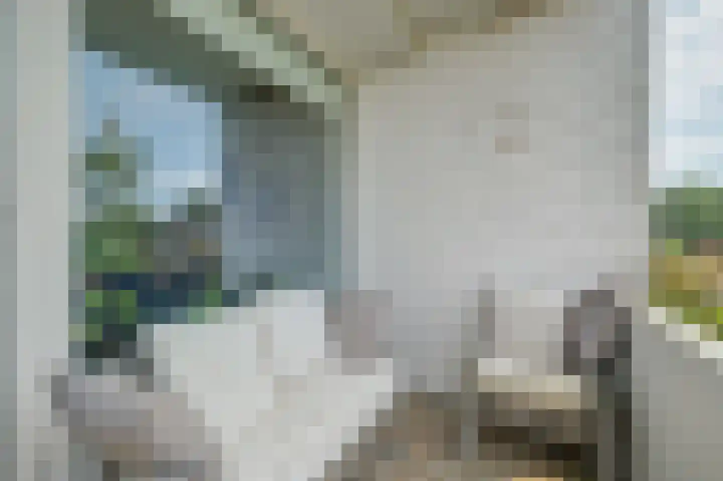 Valckeslotlaan 67 Goes thumbnail 22