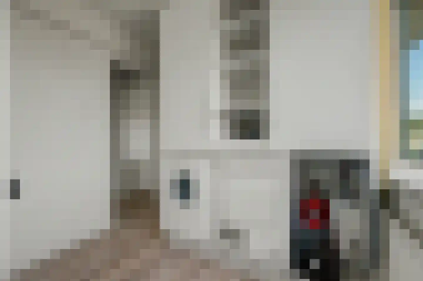 Valckeslotlaan 67 Goes thumbnail 27