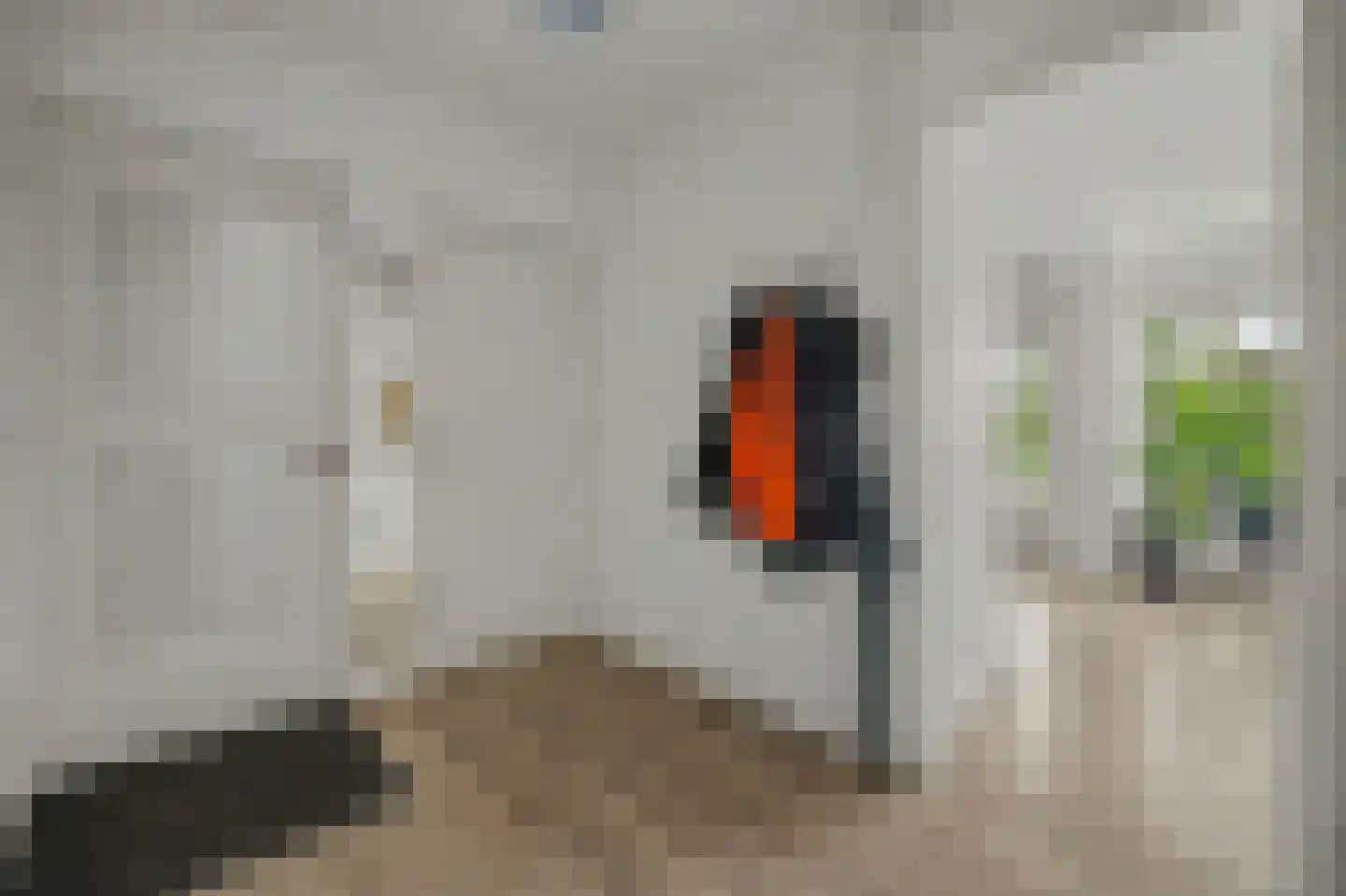 Valckeslotlaan 67 Goes thumbnail 8