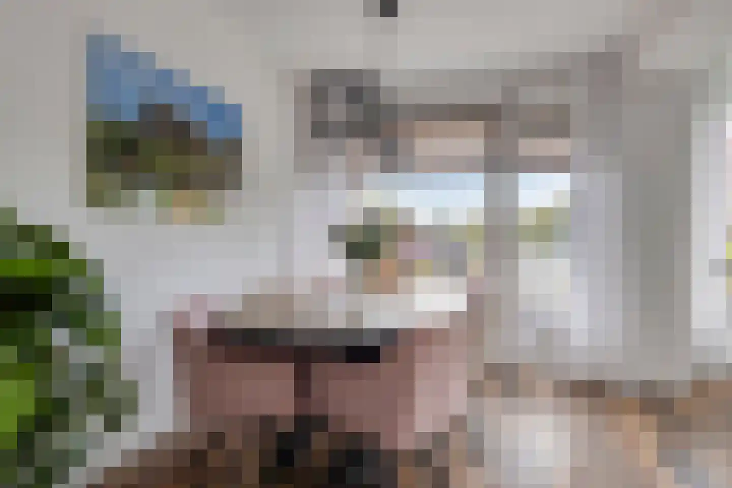 Valckeslotlaan 81 Goes thumbnail 13