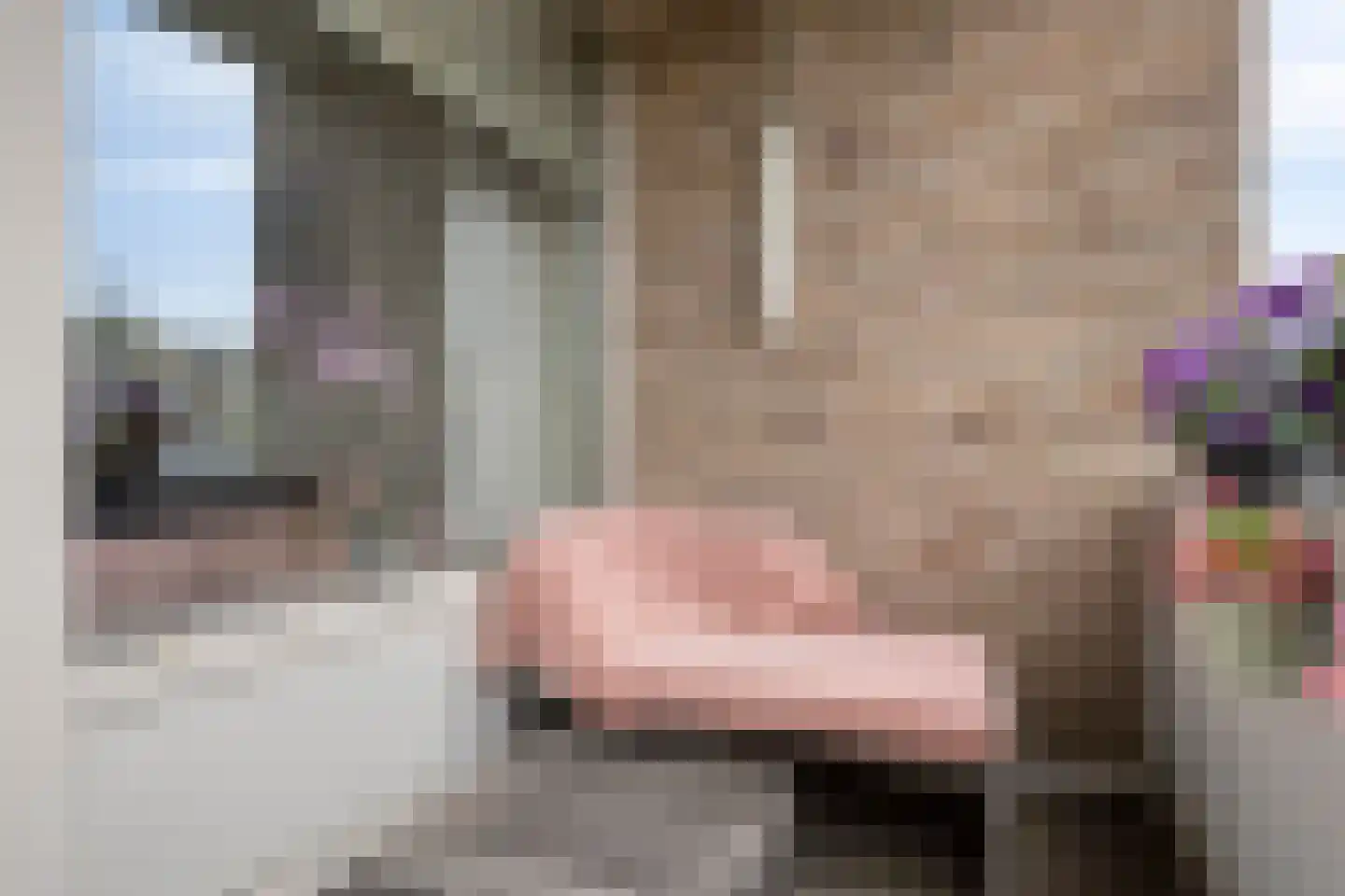 Valckeslotlaan 81 Goes thumbnail 16