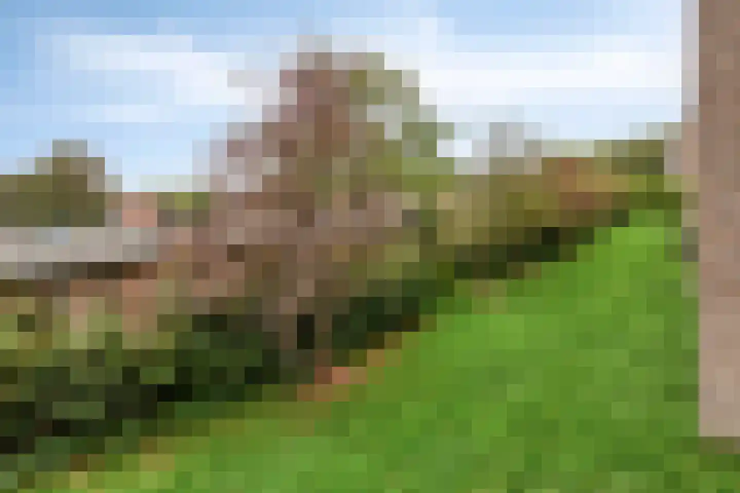 Valckeslotlaan 81 Goes thumbnail 19