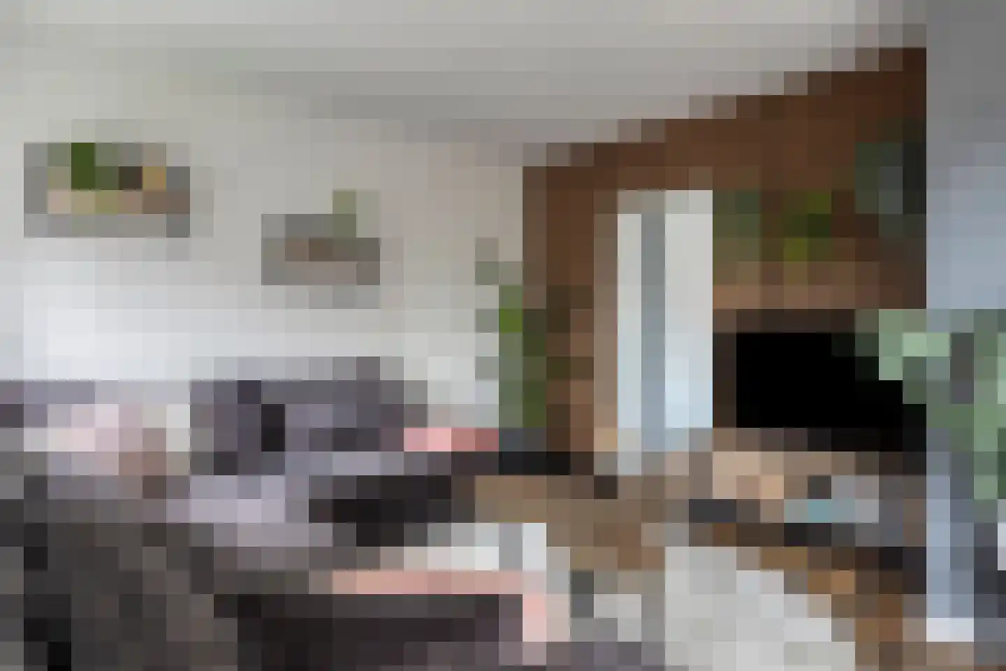 Valckeslotlaan 81 Goes thumbnail 23