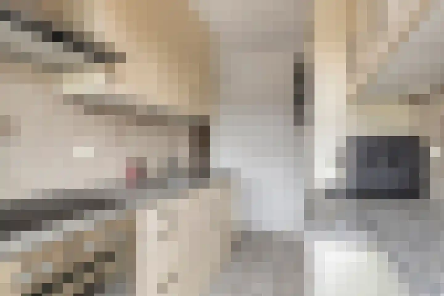 Valckeslotlaan 81 Goes thumbnail 33