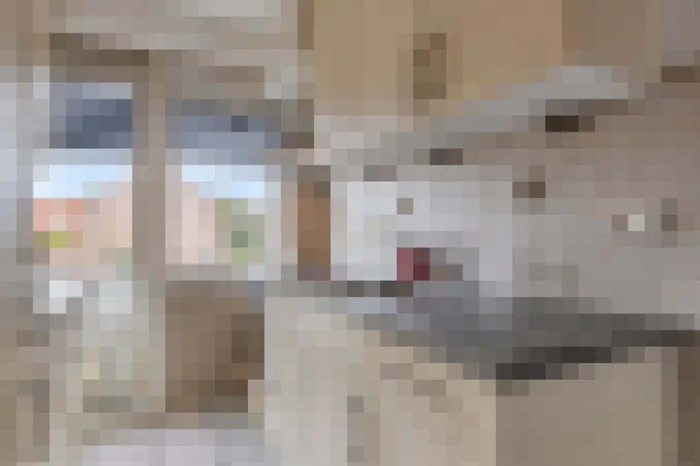 Valckeslotlaan 81 Goes thumbnail 4