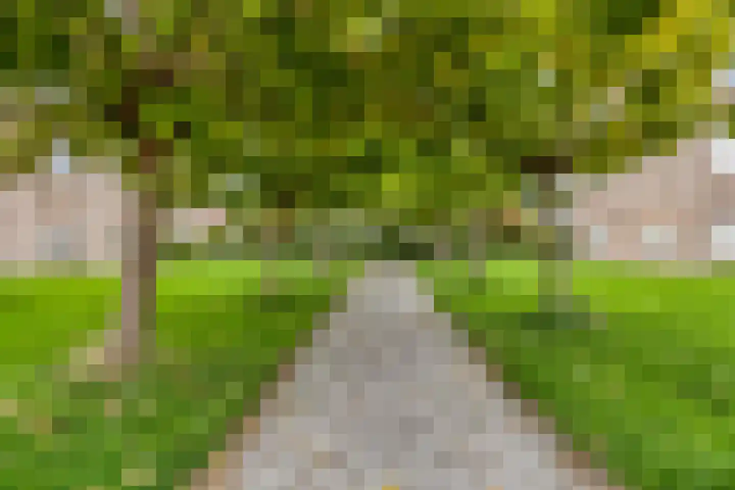 Valckeslotlaan 81 Goes thumbnail 44