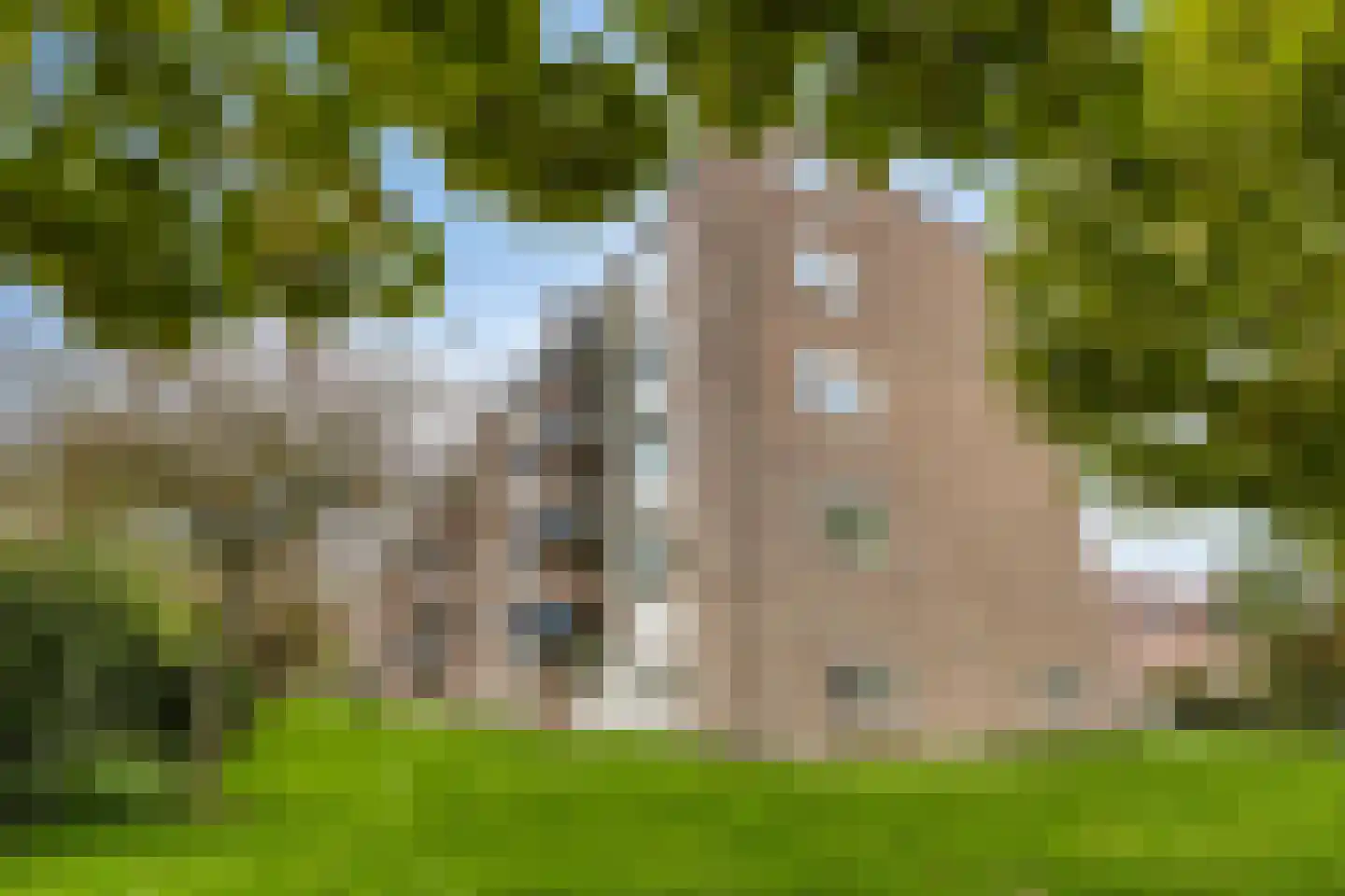Valckeslotlaan 81 Goes thumbnail 45