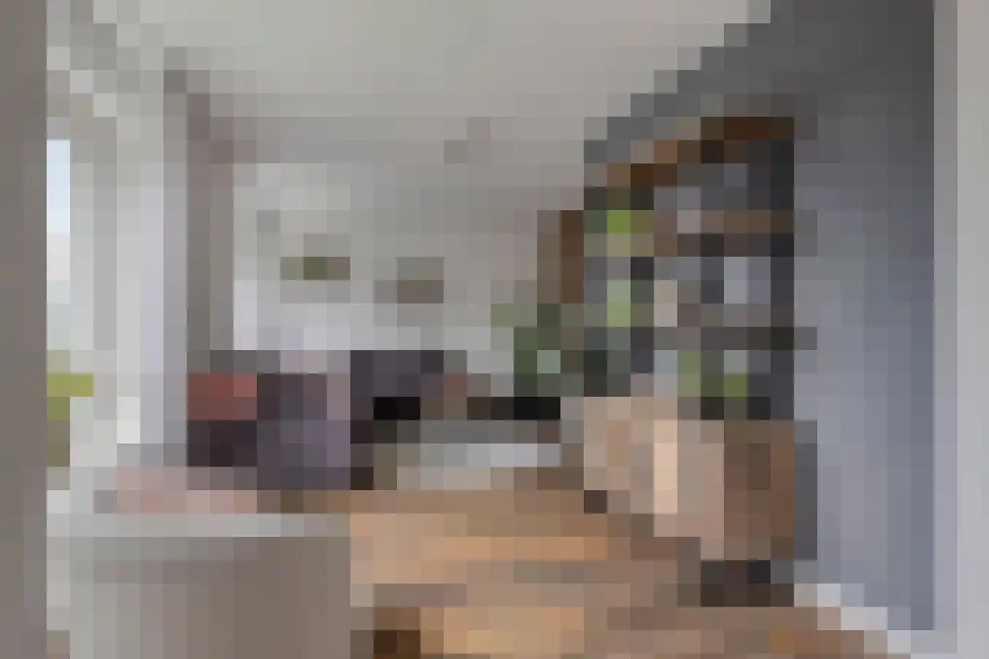 Valckeslotlaan 81 Goes thumbnail 9