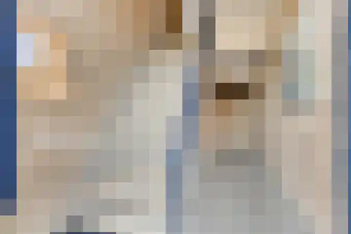 Valckeslotlaan 87 Goes thumbnail 10