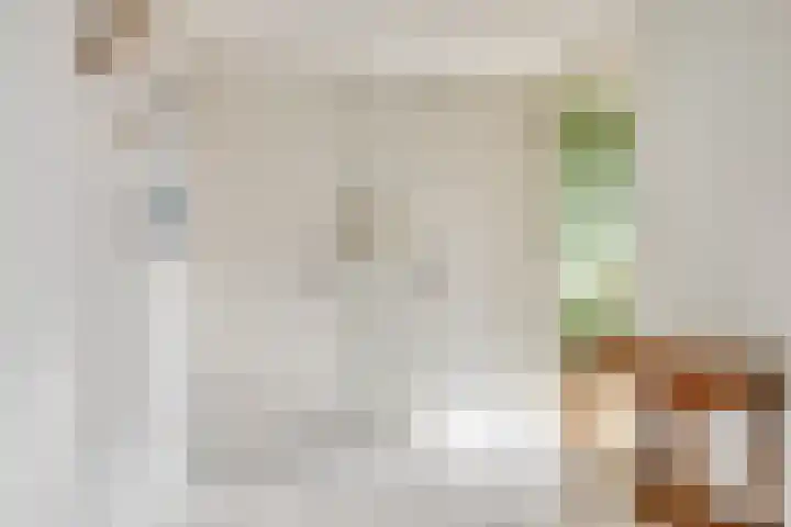 Valckeslotlaan 87 Goes thumbnail 31