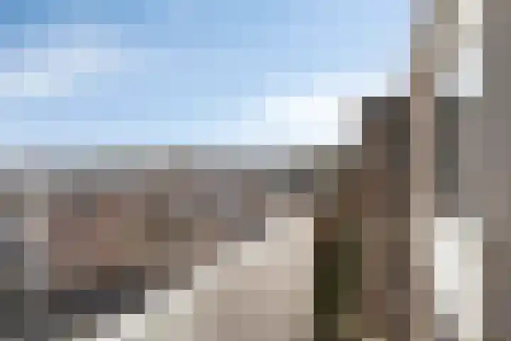 Valckeslotlaan 87 Goes thumbnail 37