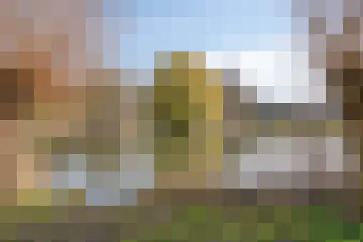 Valckeslotlaan 87 Goes thumbnail 38