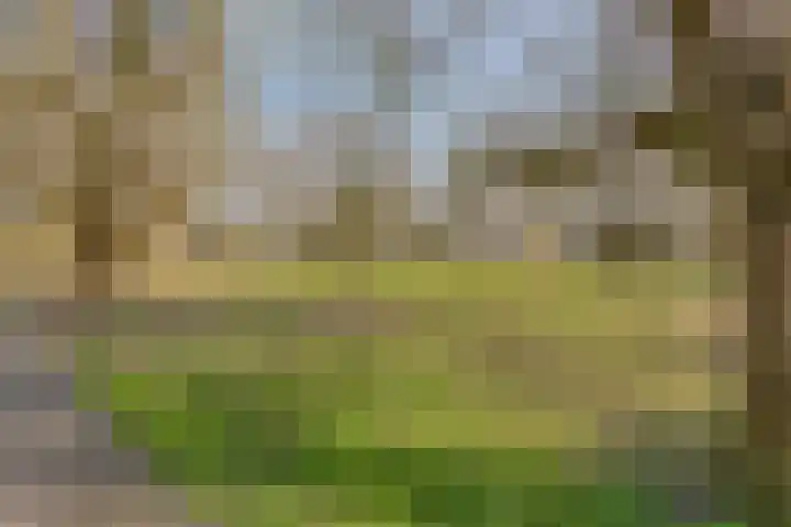 Valckeslotlaan 87 Goes thumbnail 39