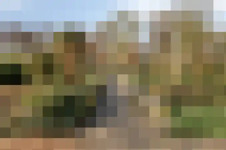 Valckeslotlaan 87 Goes thumbnail 40