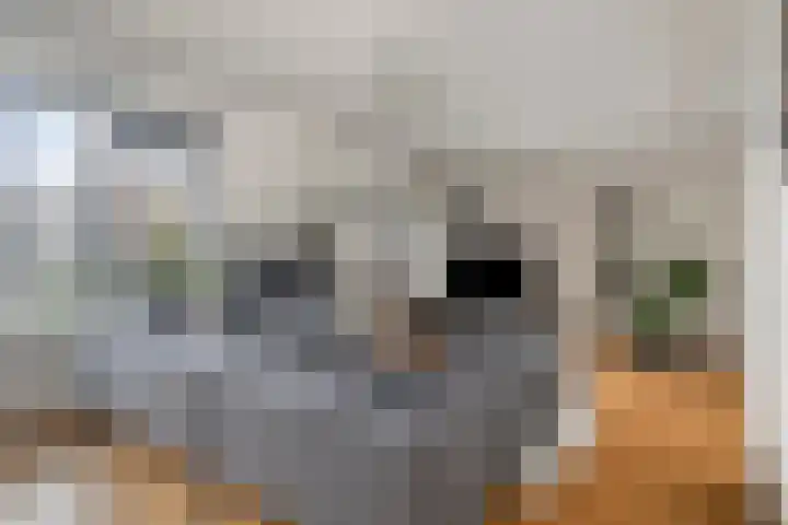 Valckeslotlaan 97 Goes thumbnail 11