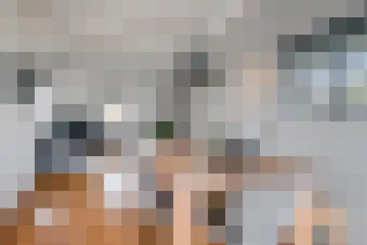 Valckeslotlaan 97 Goes thumbnail 14
