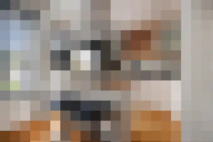Valckeslotlaan 97 Goes thumbnail 15