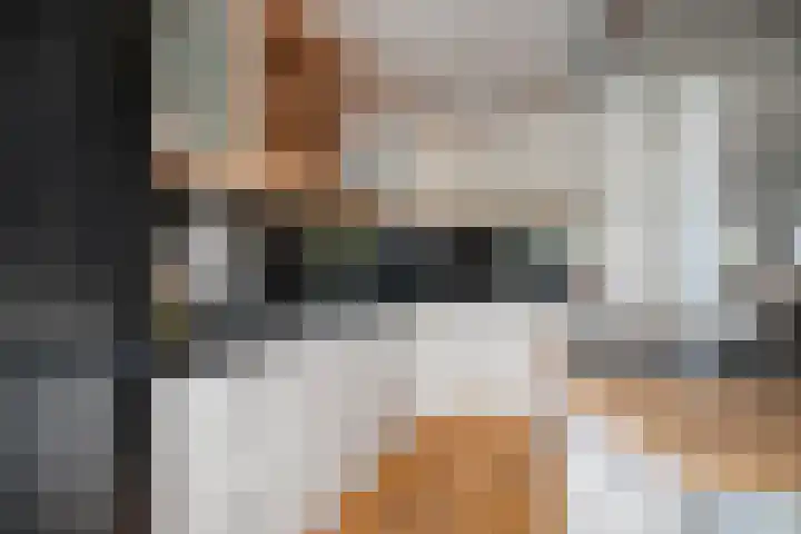 Valckeslotlaan 97 Goes thumbnail 16
