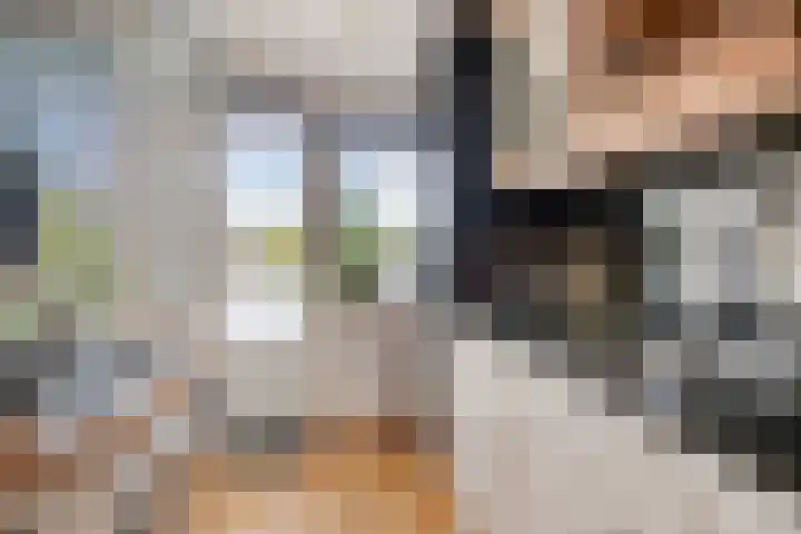 Valckeslotlaan 97 Goes thumbnail 17