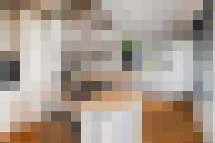 Valckeslotlaan 97 Goes thumbnail 18