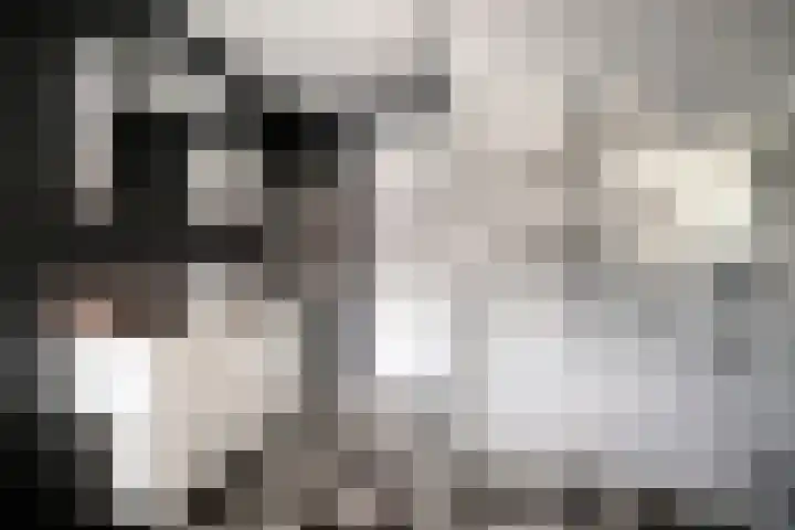 Valckeslotlaan 97 Goes thumbnail 22