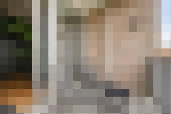 Valckeslotlaan 97 Goes thumbnail 24