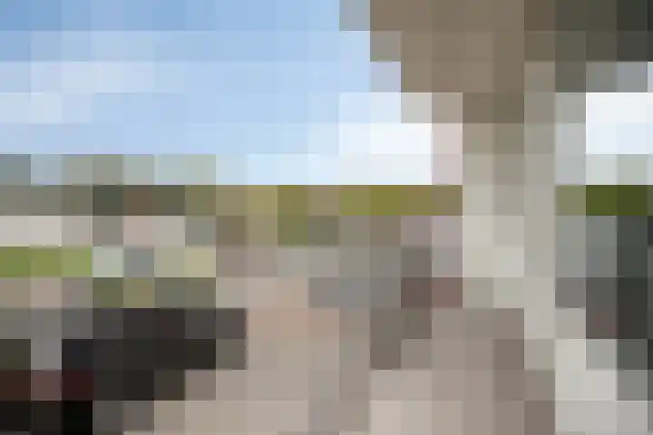 Valckeslotlaan 97 Goes thumbnail 28