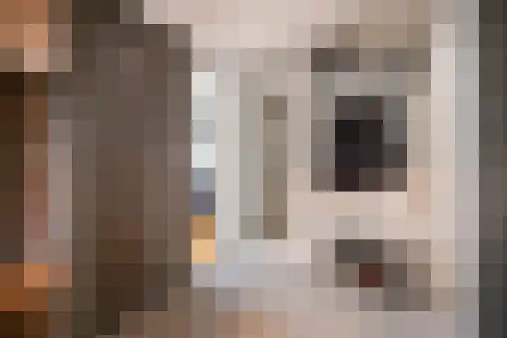 Valckeslotlaan 97 Goes thumbnail 7