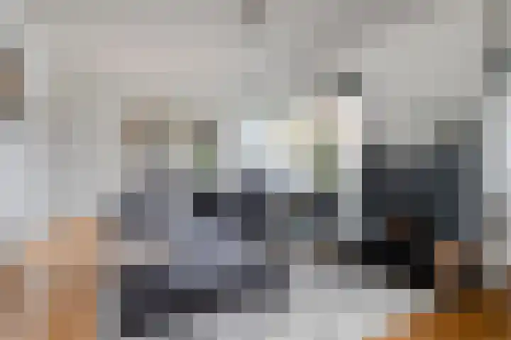 Valckeslotlaan 97 Goes thumbnail 9