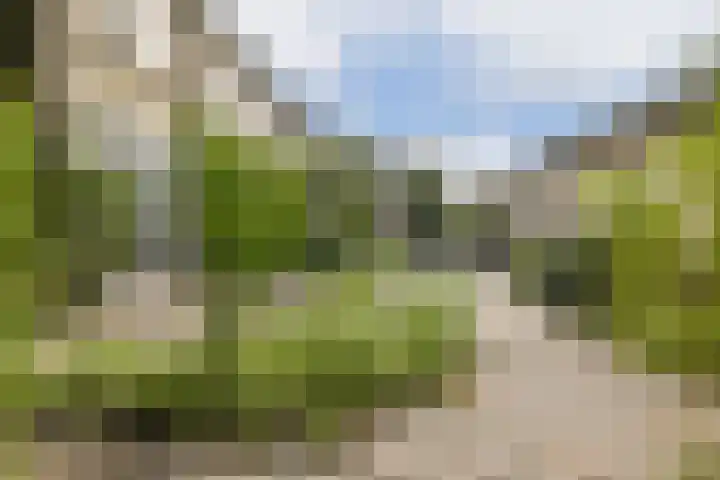 Valckslootlaan 20 Hillegom thumbnail 10