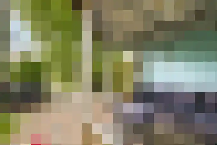 Valckslootlaan 20 Hillegom thumbnail 12