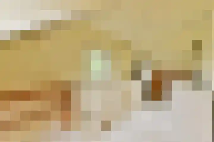 Valckslootlaan 20 Hillegom thumbnail 28