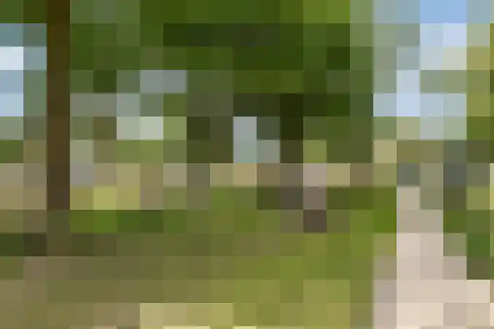 Valckslootlaan 20 Hillegom thumbnail 32