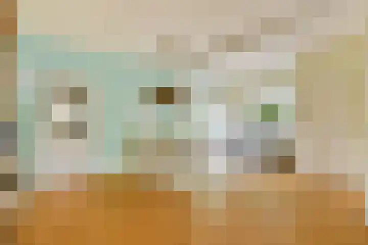 Valckslootlaan 20 Hillegom thumbnail 5