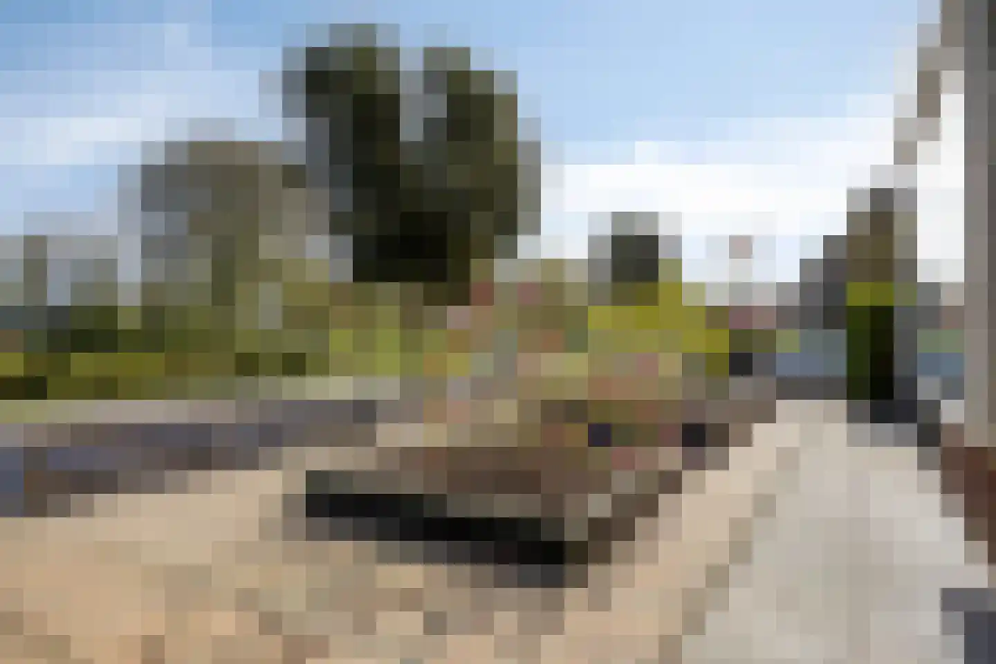 Valckslootlaan 48 Hillegom thumbnail 9